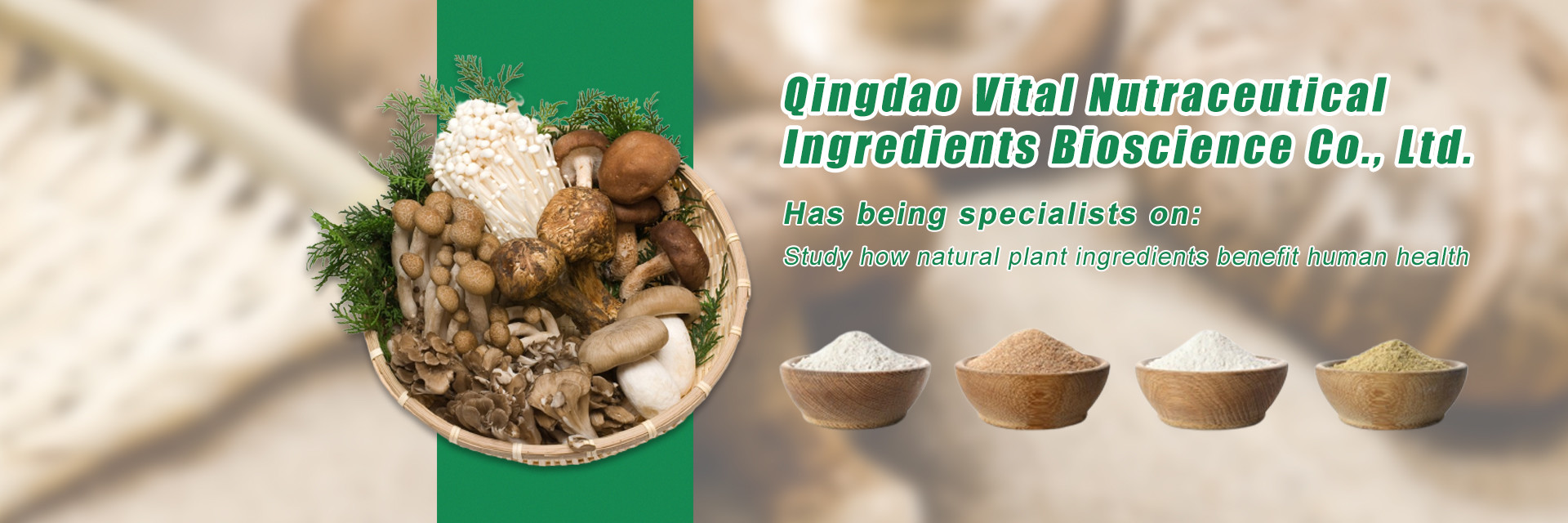 chất lượng Chiết xuất thảo mộc thực vật nhà máy sản xuất